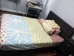 Blk 328 Serangoon Avenue 3 (Serangoon), HDB 4 Rooms #498729181